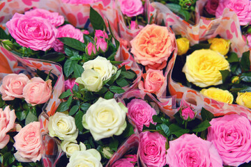 Potted roses designed as bouquets for sale at an event or holiday