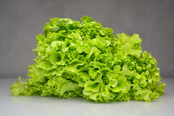 fresh green lettuce