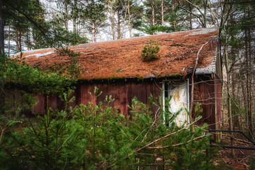 Scary cabin in the woods abandonded and decaying - 408128160