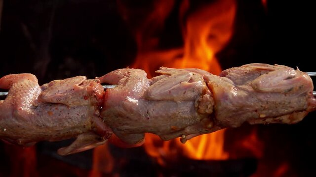 Raw marinated quail carcasses on the long skewers are placed above the open fire outdoors