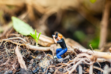 Miniature people : photographer taking a small tree in the tropical forest.