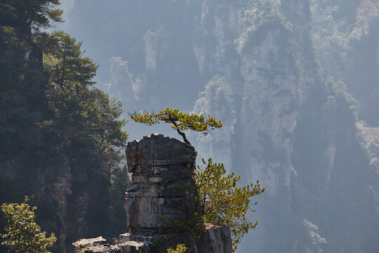 Zhangjiajie - Avatar Mountain