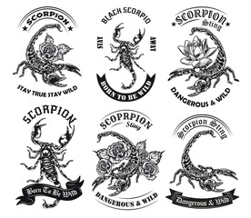 Wild scorpion monochrome tattoos and round labels vector illustration set. Vintage arachnid with poisonous sting on tail. Wildlife and fauna concept can be used for retro template, banner or poster - obrazy, fototapety, plakaty