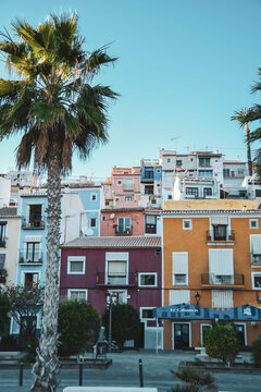 Coloured Houses (Cases de Colors) on the sandy beach in Villajoyosa in Costa Blanca with palms near Benidorm