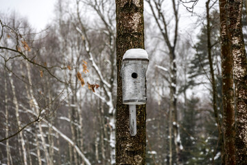 birdhouses for birds of different shapes and sizes in the winter forest