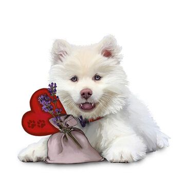 dipinto ad olio di un cucciolo di cane bianco seduto frontalmente vicino a un cuore e un mazzo di fiori su sfondo bianco