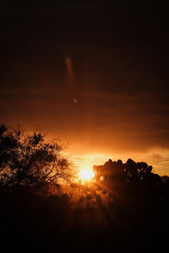 Paisaje Al Atardecer Naranja Con Negro Y Destellos De Luz Del Sol