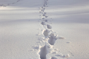 Fußspuren im Tiefschnee