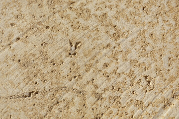 Sandstone texture background