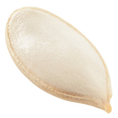 Pumpkin seed, isolated on white background, clipping path, full depth of field