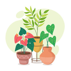 Beautiful houseplants in differents styles of pots. Indoor decoration.