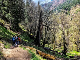 hiking in the mountains
