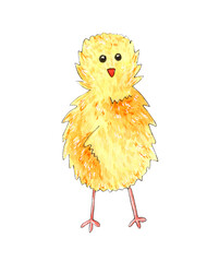 Hand painted watercolor yellow chick isolated on white background. Easter illustration.
