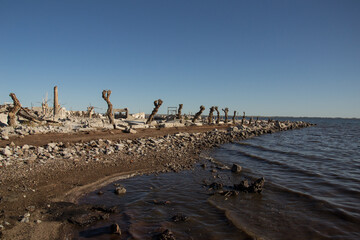 Lago con &aacute;rboles en ruinas de Epecuen, Buenos Aires.