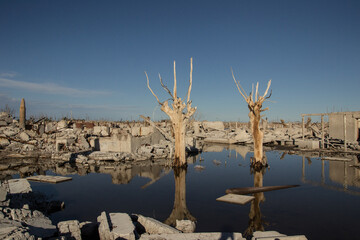 Lago con árboles en ruinas de Epecuen, Buenos Aires.
