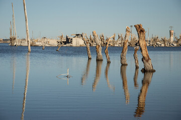 Lago con &aacute;rboles en ruinas de Epecuen, Buenos Aires.
