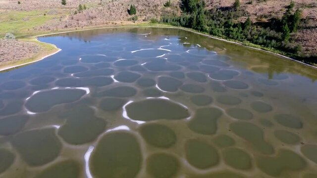 A drone flyover shot of the famous Spotted Lake located in the Okanagan of British Columbia, Canada.
