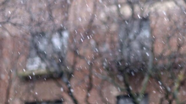 Snow Flakes tumbling down swaying in the winter breeze, covering the streets of Brooklyn, New York - Detail shot Slow-Motion