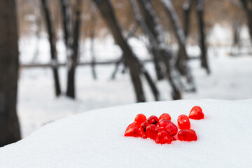 Set of small bright red glass hearts on powdery snow of snowdrift at cold winter day in park forest, symbol of romantic love, St. Valentine's Day holiday concept, low angle shoot