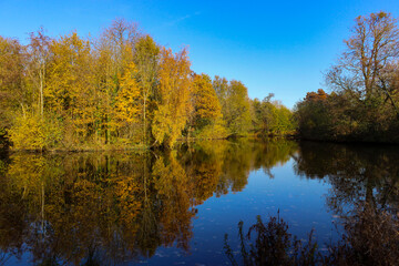 Beautiful pastoral view from Vondelpark in Amsterdam, Netherlands. Autumn trees and their reflections on the lake. 
