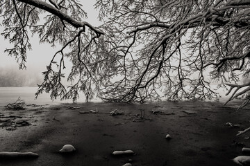 Cień osłonięty przed mgłą © Maksymilian