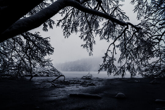 Widok z cienia na jezioro we mgle