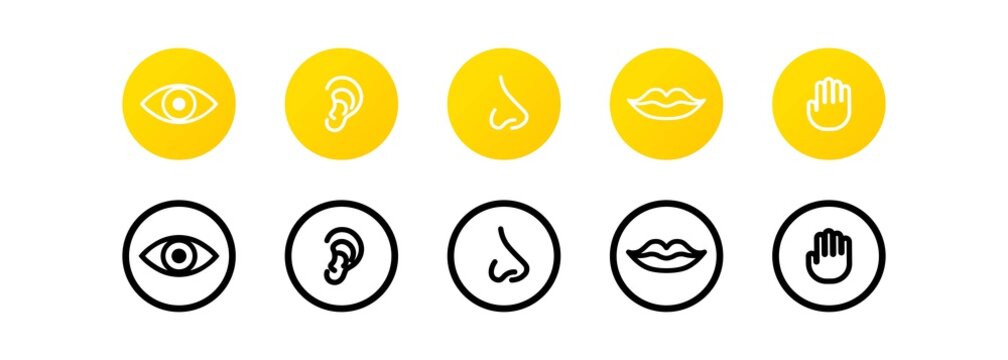 Five human senses icon set. Eye, nose, ear, hand, mouth with tongue sign. Sight, smell, hearing, touch, taste concept. Vector on isolated white background. EPS 10