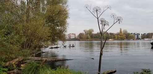idyllische Bucht