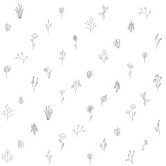 Obraz na płótnie Canvas set of simple illustrated flowers