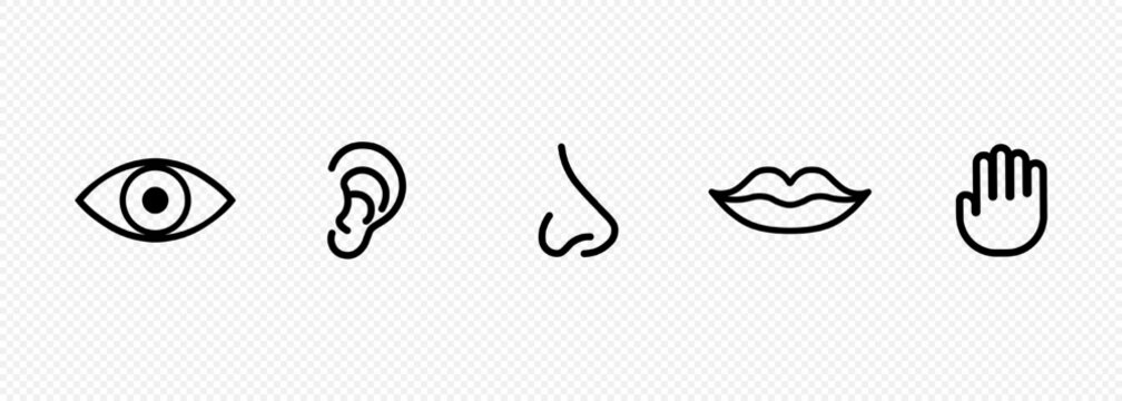 Five human senses icon set. Eye, nose, ear, hand, mouth with tongue sign. Sight, smell, hearing, touch, taste concept. Vector on isolated transparent background. EPS 10
