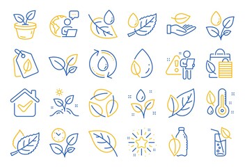Plants line icons. Mint leaf, Growing plants and Humidity thermometer icons. Bottle with mint water, Nature care, leaf on hand. Gardening new flower, environment, water drop and thermometer. Vector