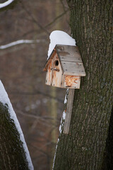 a wooden birdhouse on a tree, covered with snow. taking care of the birds.