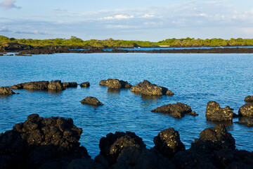 Fototapeta na wymiar Parque Nacional Islas Galapagos, Ecuador, America