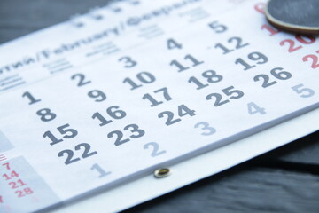 February. Calendar sheet