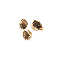 Three Moringa or drumstick, benzolive seeds isolated on white background