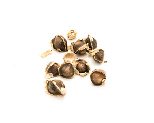 Unpeeled and kernel of Moringa or drumstick, benzolive seeds isolated on white background