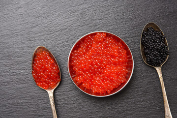 caviar of paddlefish fish and red chum salmon caviar in a spoon, black background