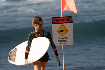 Surfer entering the water with a warning sign stating sharks sighted