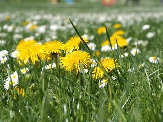 OLYMPUS DIGITAL CAMERA OMD EM5 II © lorenzo