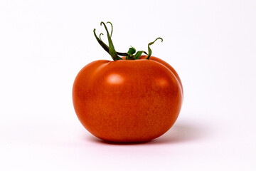 Tomate en fondo blanco