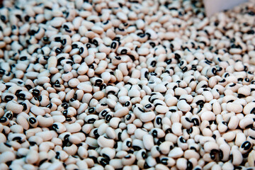 fridiños chícharos pequeños con pinta