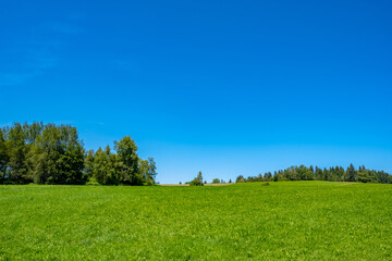 Landscape with sky and grass