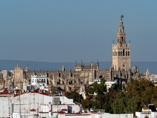 Naklejka na ściany i meble Sevilla catedral y giralda