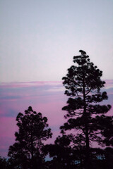 The light transmits the beauty of our nature
