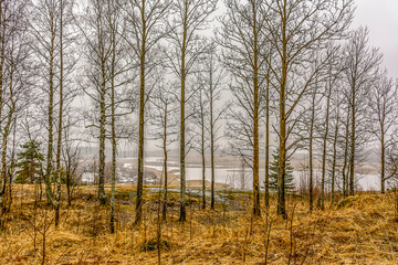 Obraz premium Central city park Vakkosalmi in Sortavala.