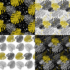 Naklejka na ściany i meble set of modern seamless patterns with monstera leaves on black background with gray leaves for fabric and surface design