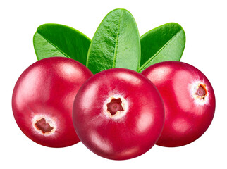 Cranberry isolated on white background