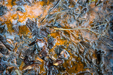 the clear water of the stream shimmers and under it shines a bright orange texture