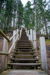 large wooden stairs lead up the hill through the forest