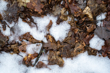 a little white snow and brown autumn leaves form a beautiful texture